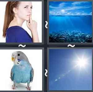 4 Pics 1 word Level 1013 Answers