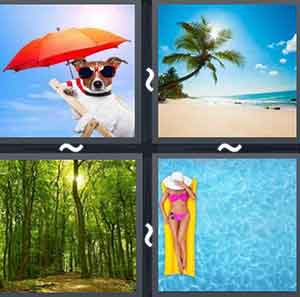 4 Pics 1 word Level 1046 Answers