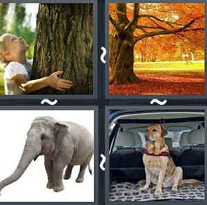 4 pics one word answers 5 letters elephant