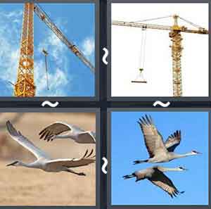 4 Pics 1 word Level 1057 Answers