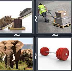 4 Pics 1 word Level 1069 Answers