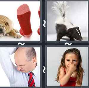 4 Pics 1 word Level 1079 Answers
