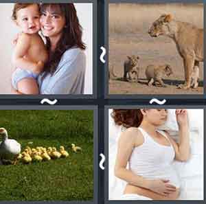 4 Pics 1 word Level 1127 Answers