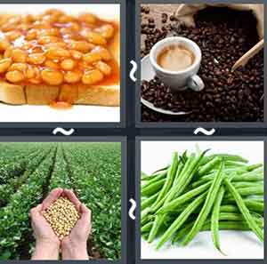 4 Pics 1 word Level 1128 Answers