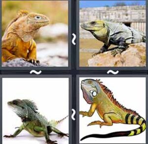 4 Pics 1 word Level 1150 Answers