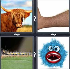 4 Pics 1 word Level 1184 Answers