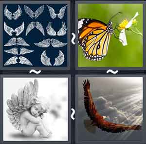 4 Pics 1 word Level 1217 Answers