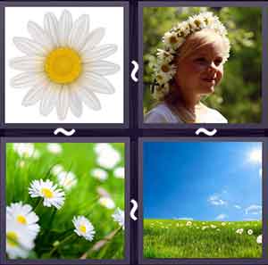 4 Pics 1 word Level 1237 Answers