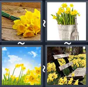 4 Pics 1 word Level 1238 Answers