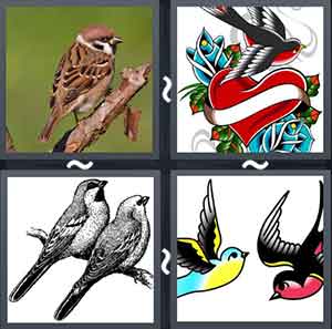 4 Pics 1 word Level 1403 Answers