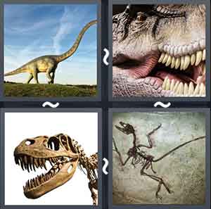 4 Pics 1 word Level 1412 Answers