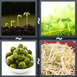 4 Pics 1 word Level 1414 Answers