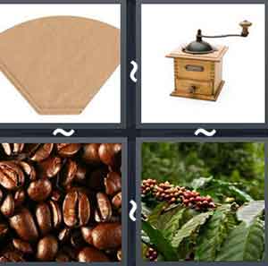 4 Pics 1 word Level 645 Answers