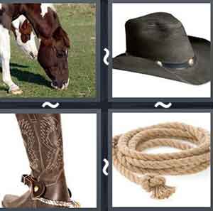 4 Pics 1 word Level 665 Answers