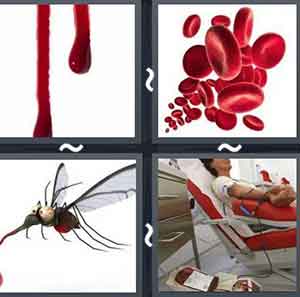 4 Pics 1 word Level 774 Answers