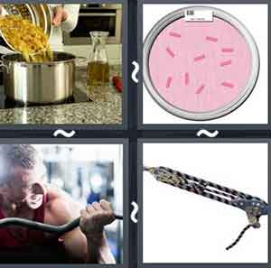 4 Pics 1 word Level 786 Answers