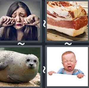 4 Pics 1 word Level 788 Answers
