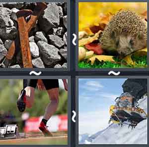 4 Pics 1 word Level 812 Answers