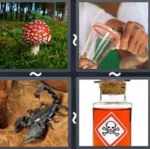 4 Pics 1 word Level 835 Answers