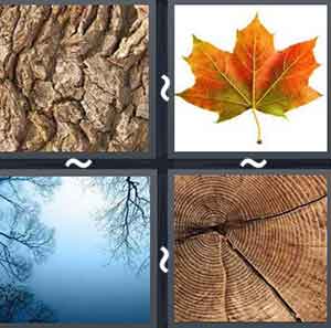 4 Pics 1 word Level 948 Answers