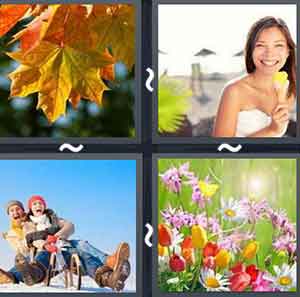 4 Pics 1 word Level 971 Answers