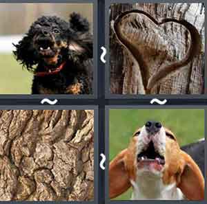 4 Pics 1 word Level 976 Answers