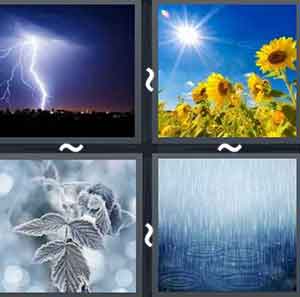 4 Pics 1 word Level 988 Answers
