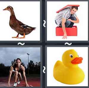 4 Pics 1 word Level 998 Answers
