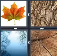 4 Pics 1 Word Level 3430 Answers
