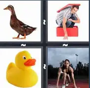 4 Pics 1 Word Level 3435 Answers