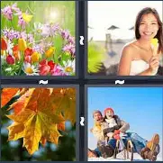4 Pics 1 Word Level 3446 Answers