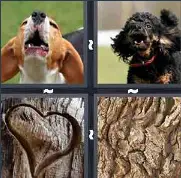 4 Pics 1 Word Level 3449 Answers
