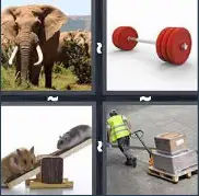 4 Pics 1 Word Level 3463 Answers