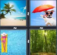 4 Pics 1 Word Level 3474 Answers