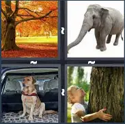 4 Pics 1 Word Level 3494 Answers