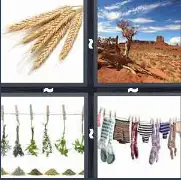 4 Pics 1 Word Level 3495 Answers