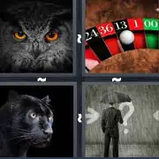 4 Pics 1 Word Level 3498 Answers