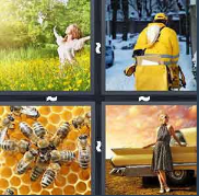 4 Pics 1 Word Level 3512 Answers