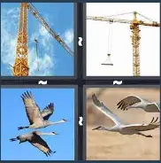 4 Pics 1 Word Level 3523 Answers
