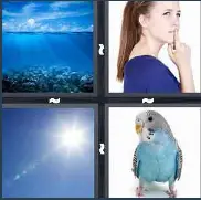 4 Pics 1 Word Level 3543 Answers