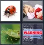 4 Pics 1 Word Level 3560 Answers