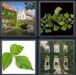 4 Pics 1 Word Level 3579 Answers