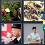 4 Pics 1 Word Level 3592 Answers