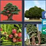 4 Pics 1 Word Level 3604 Answers