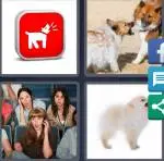 4 Pics 1 Word Level 3606 Answers