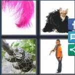 4 Pics 1 Word Level 3611 Answers