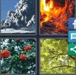 4 Pics 1 Word Level 3618 Answers