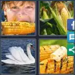 4 Pics 1 Word Level 3628 Answers