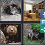 4 Pics 1 Word Level 3629 Answers