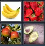 4 Pics 1 Word Level 3676 Answers